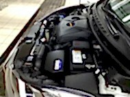 Мойка двигателя на Зорге