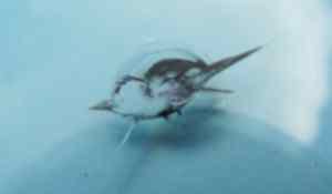 Ремонт автостекол