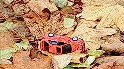 Осенние аварии